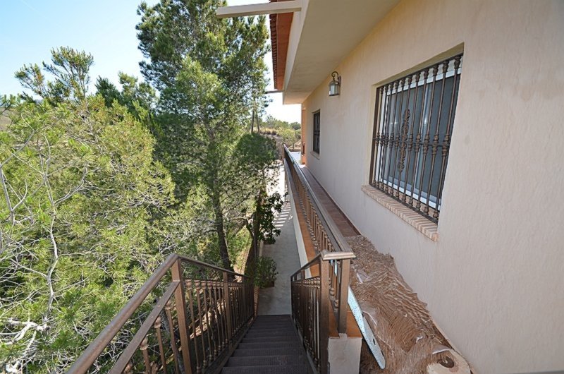 full_1454532_64581026