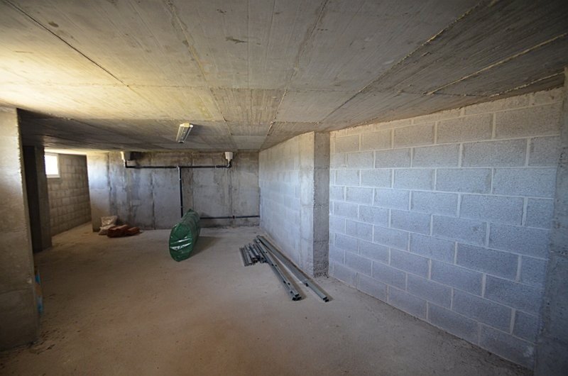 full_1454532_64581060