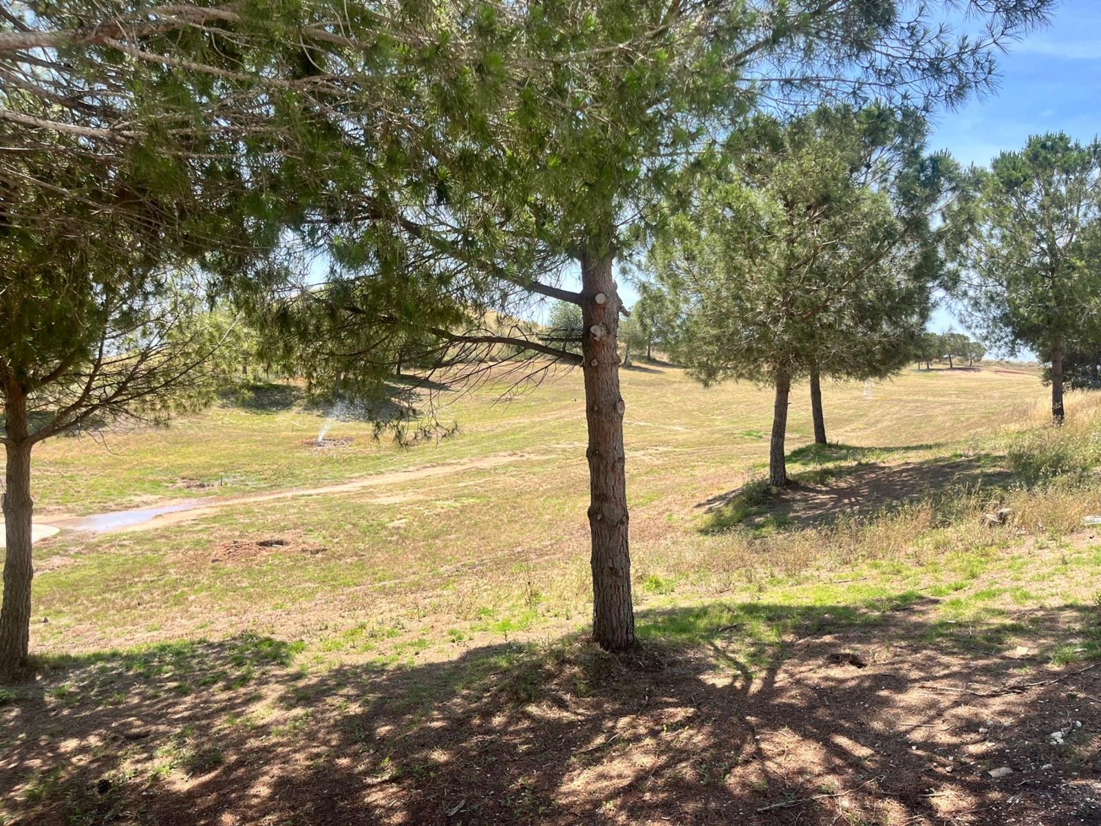 property_attachment_1admzhm0a2_20250528042957