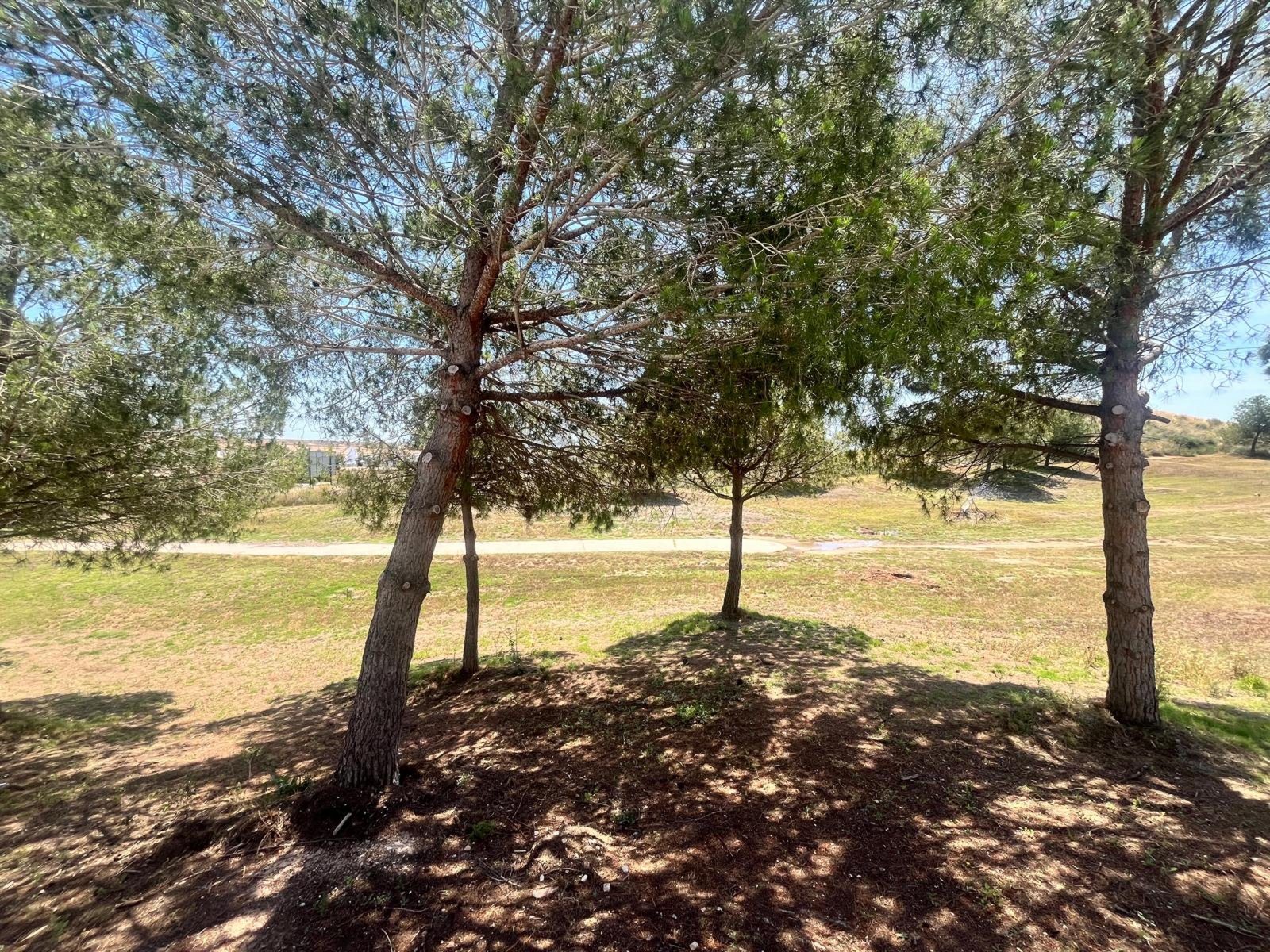 property_attachment_1y8brtgkbd_20250528043000