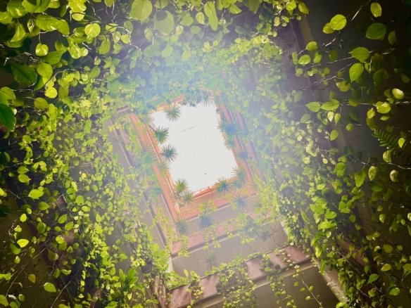 apartments for sale in torrevieja