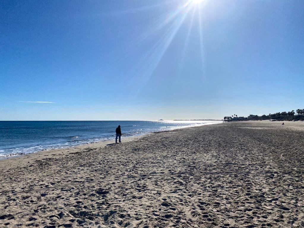 full_1501548_65758828