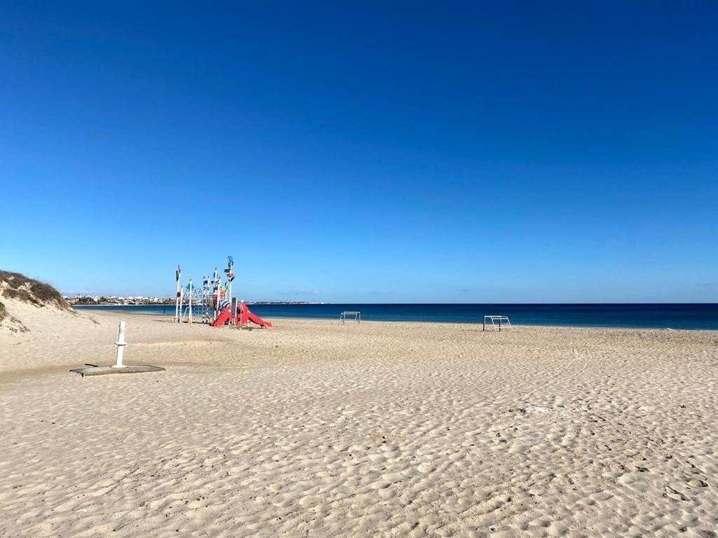 full_1501548_65758829