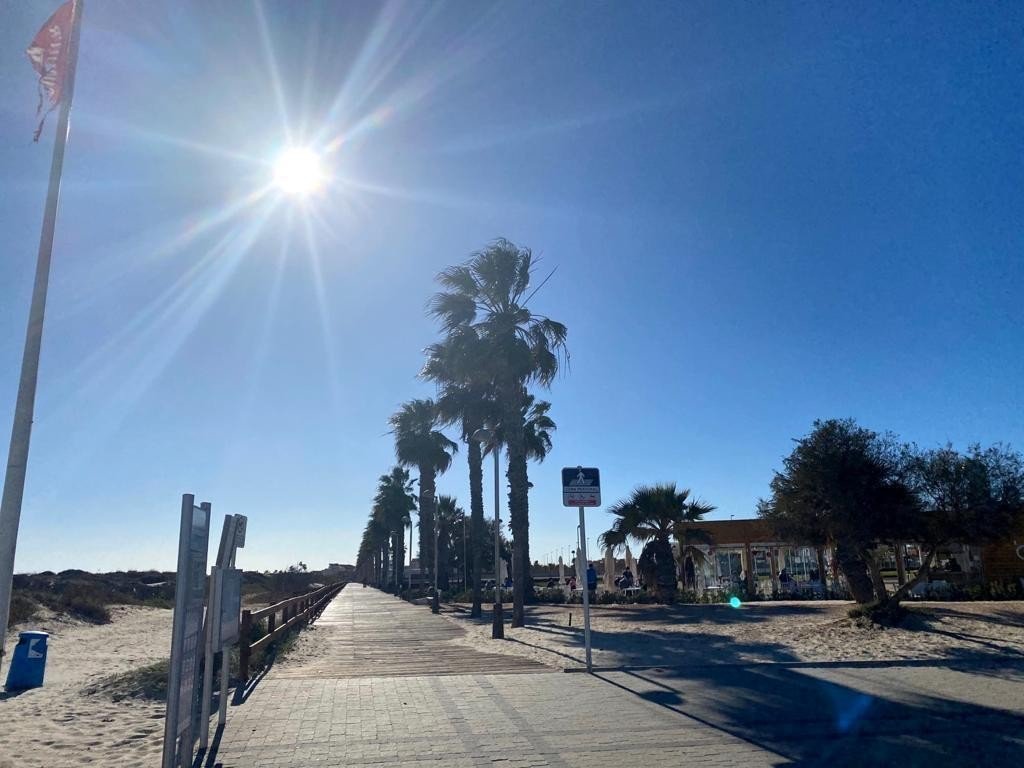 full_1501548_65758830