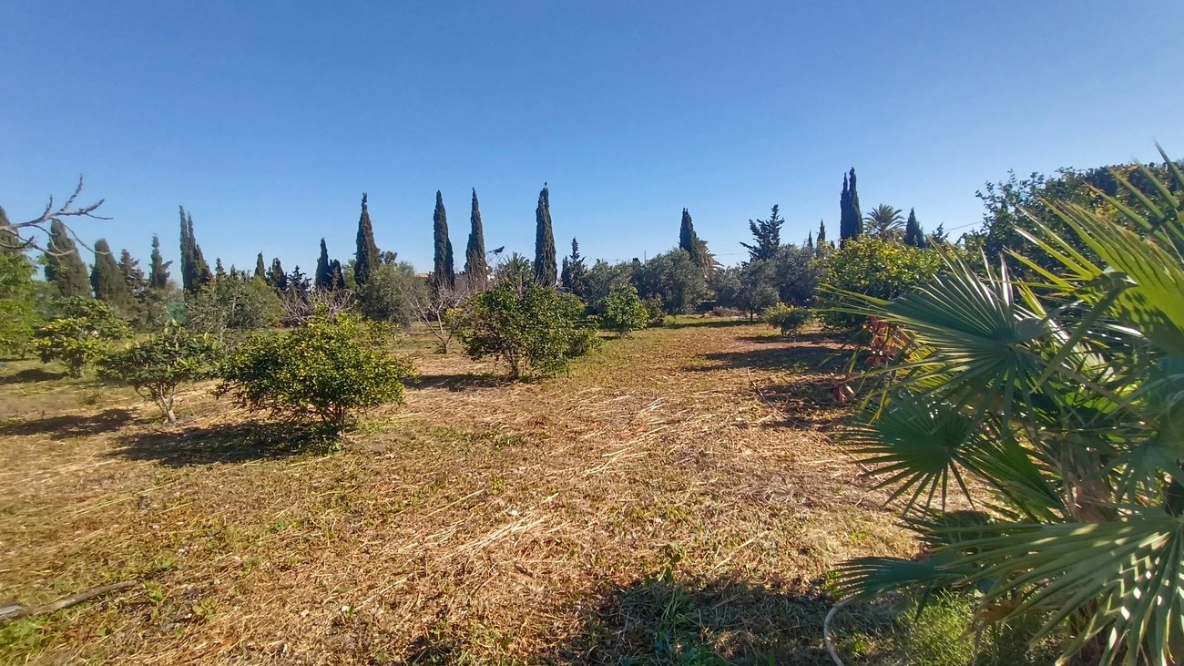 villa-avileses-mgh1908-41