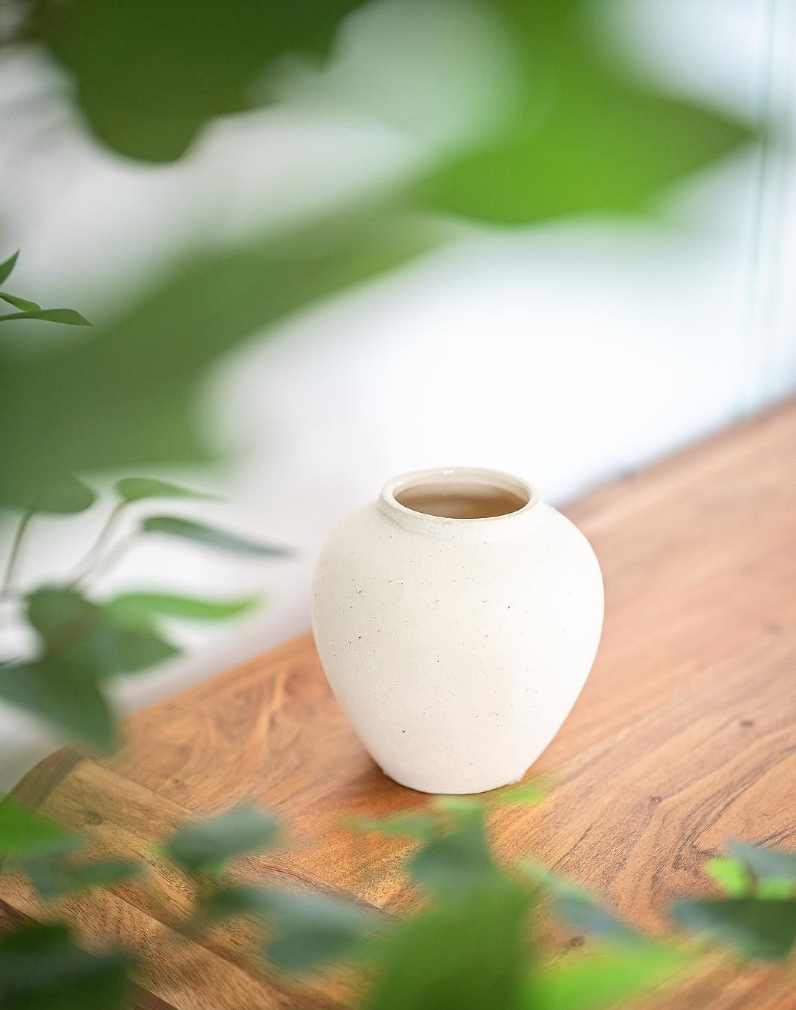 w_img-20251111-wa0042