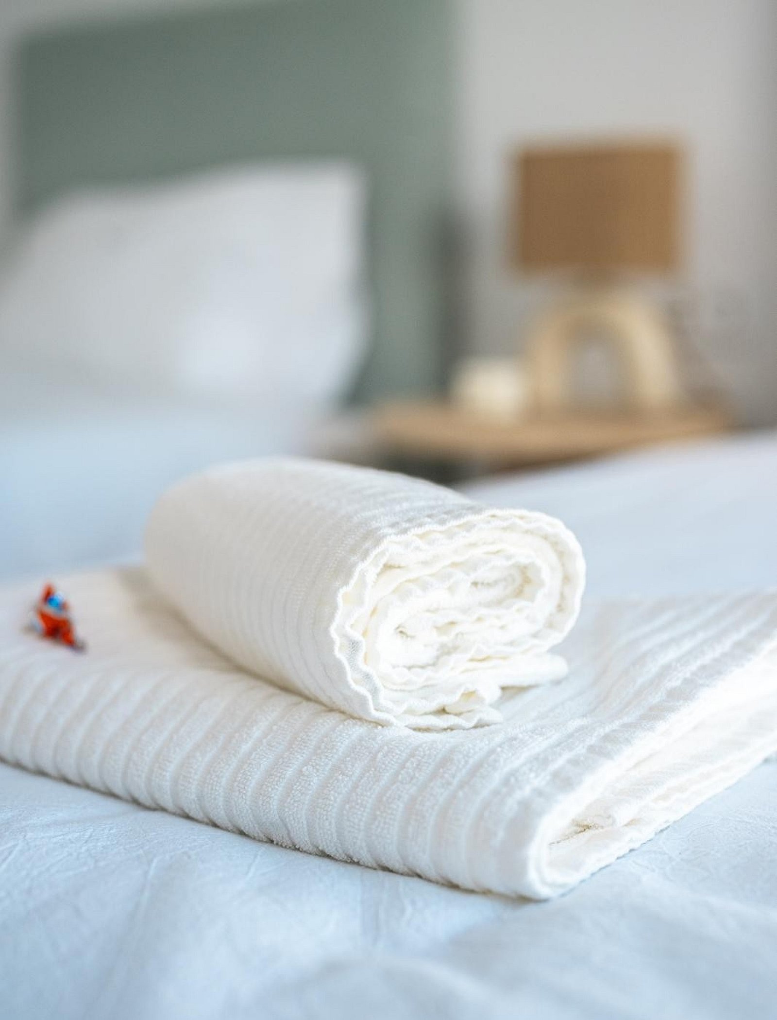 w_img-20251111-wa0061