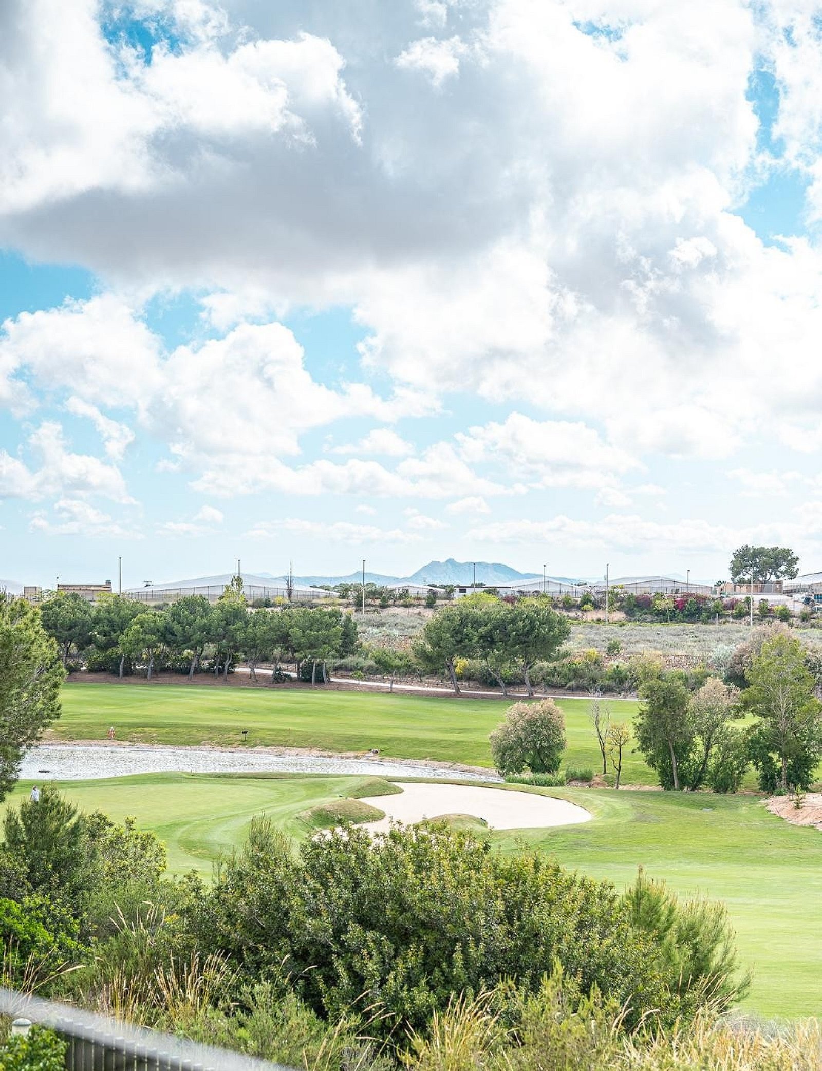 w_img-20251111-wa0063