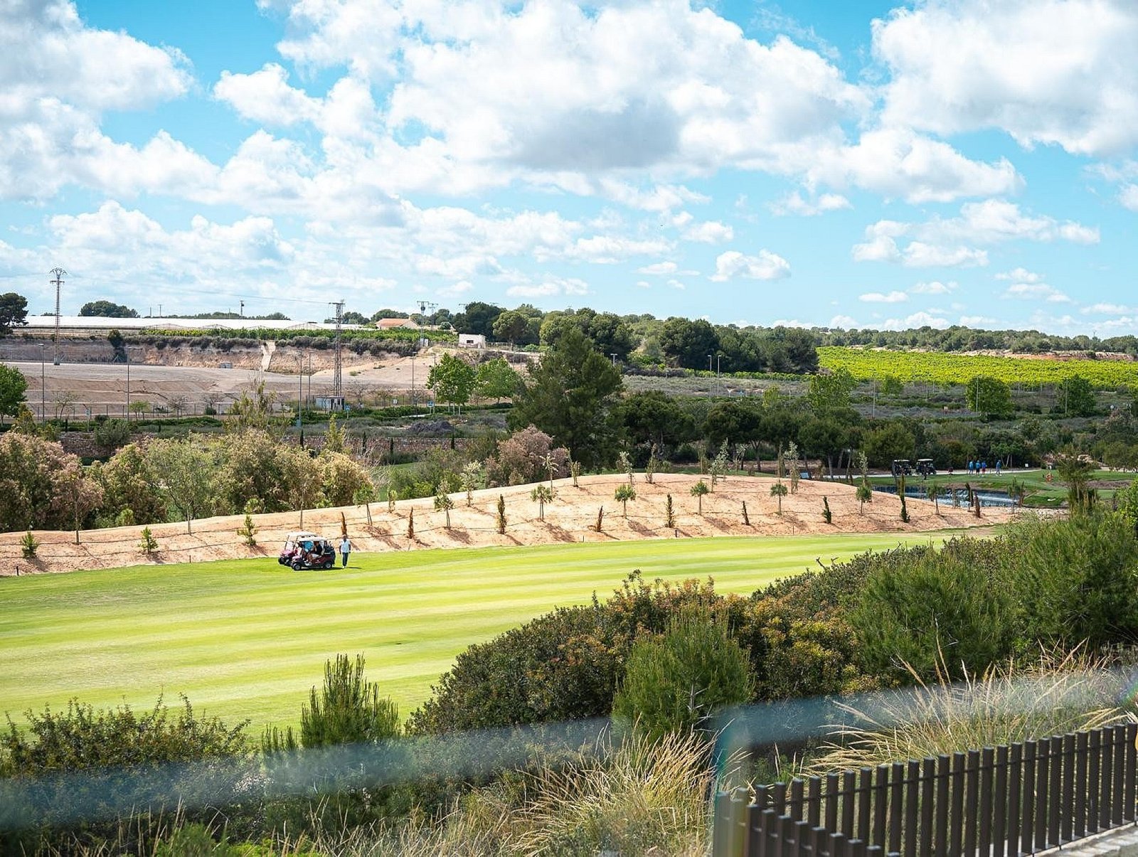 w_img-20251111-wa0064