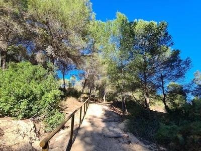 2-2 Alicante – Sunrise Dream Properties