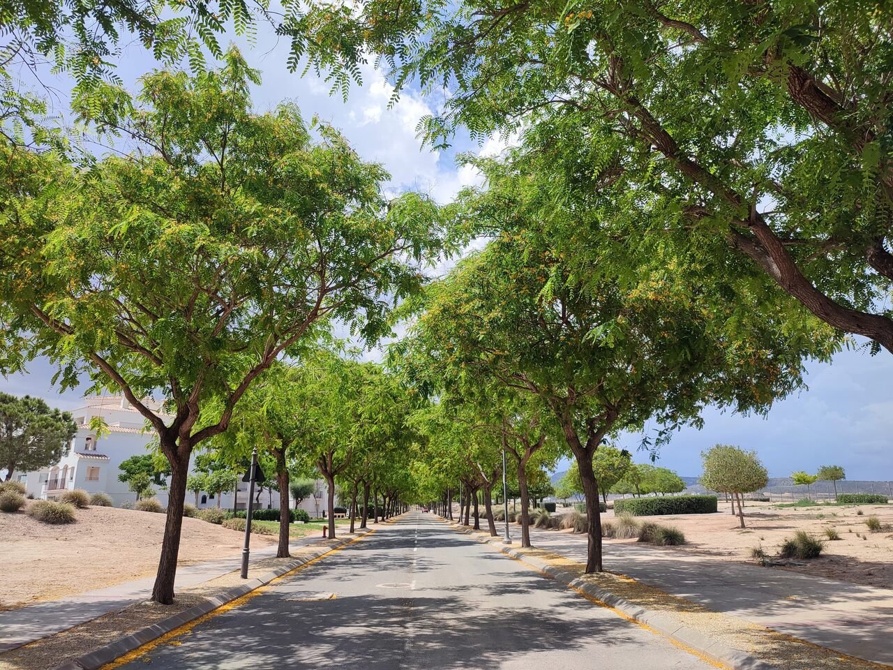 30756-apartment-for-sale-in-hacienda-riquelme-golf-resort-24499992-large