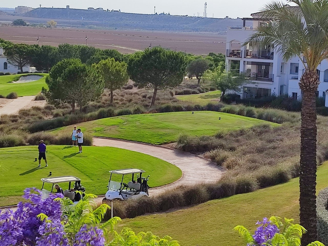 30756-apartment-for-sale-in-hacienda-riquelme-golf-resort-24499996-large