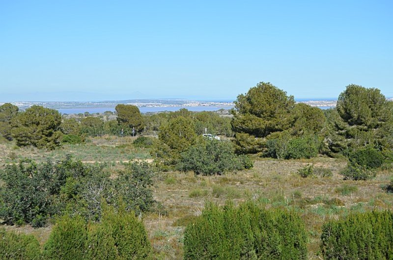 full_1514230_66055743