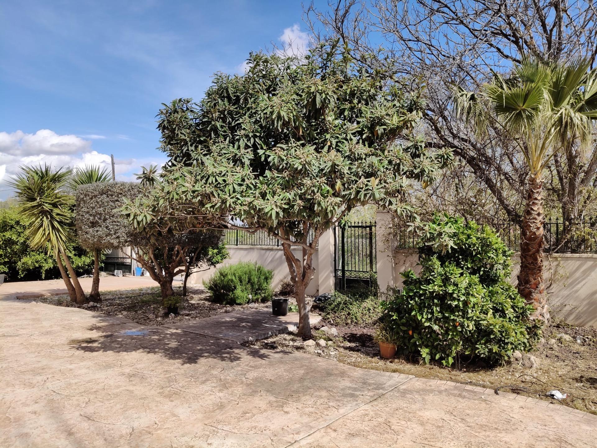 2-6 Finca in El Palmar, Murcia