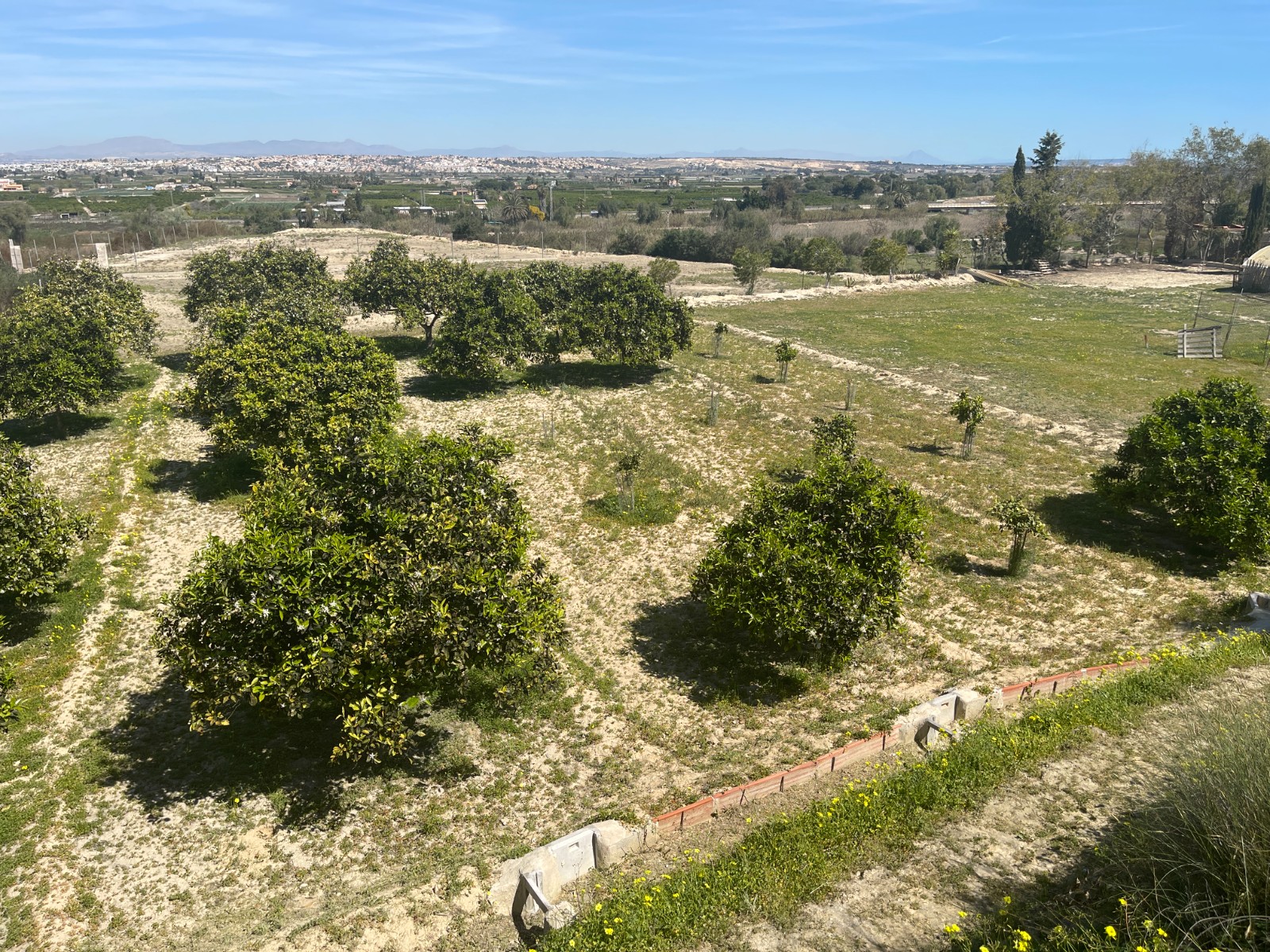 508522_694128276da2e Villa in Guardamar del Segura, Alicante