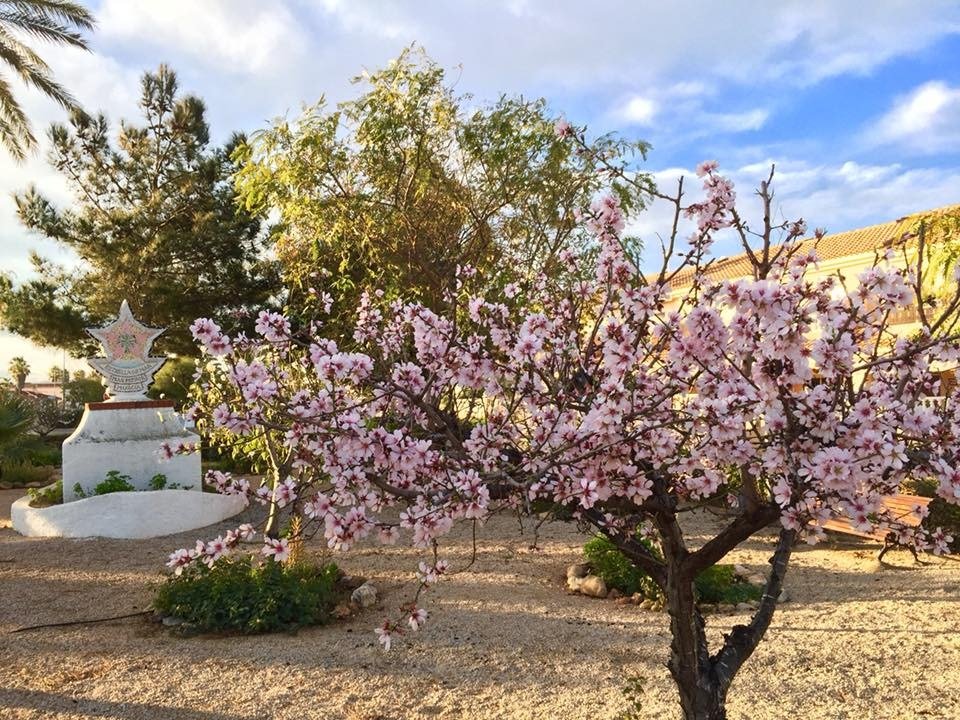 7-31 Villa in Los Urrutias, Murcia