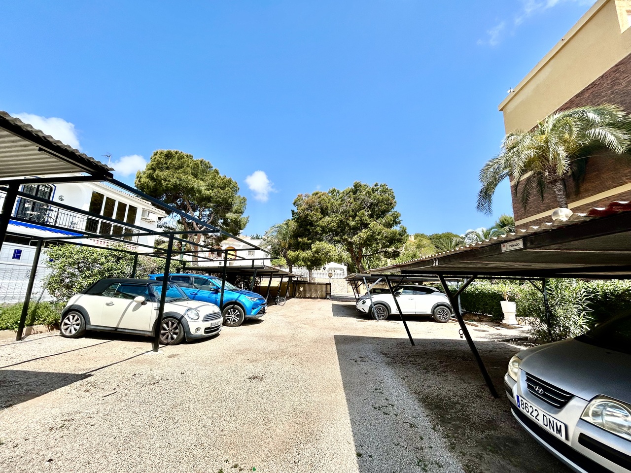 IMG_4867_xlarge Apartment in La Zenia, Alicante