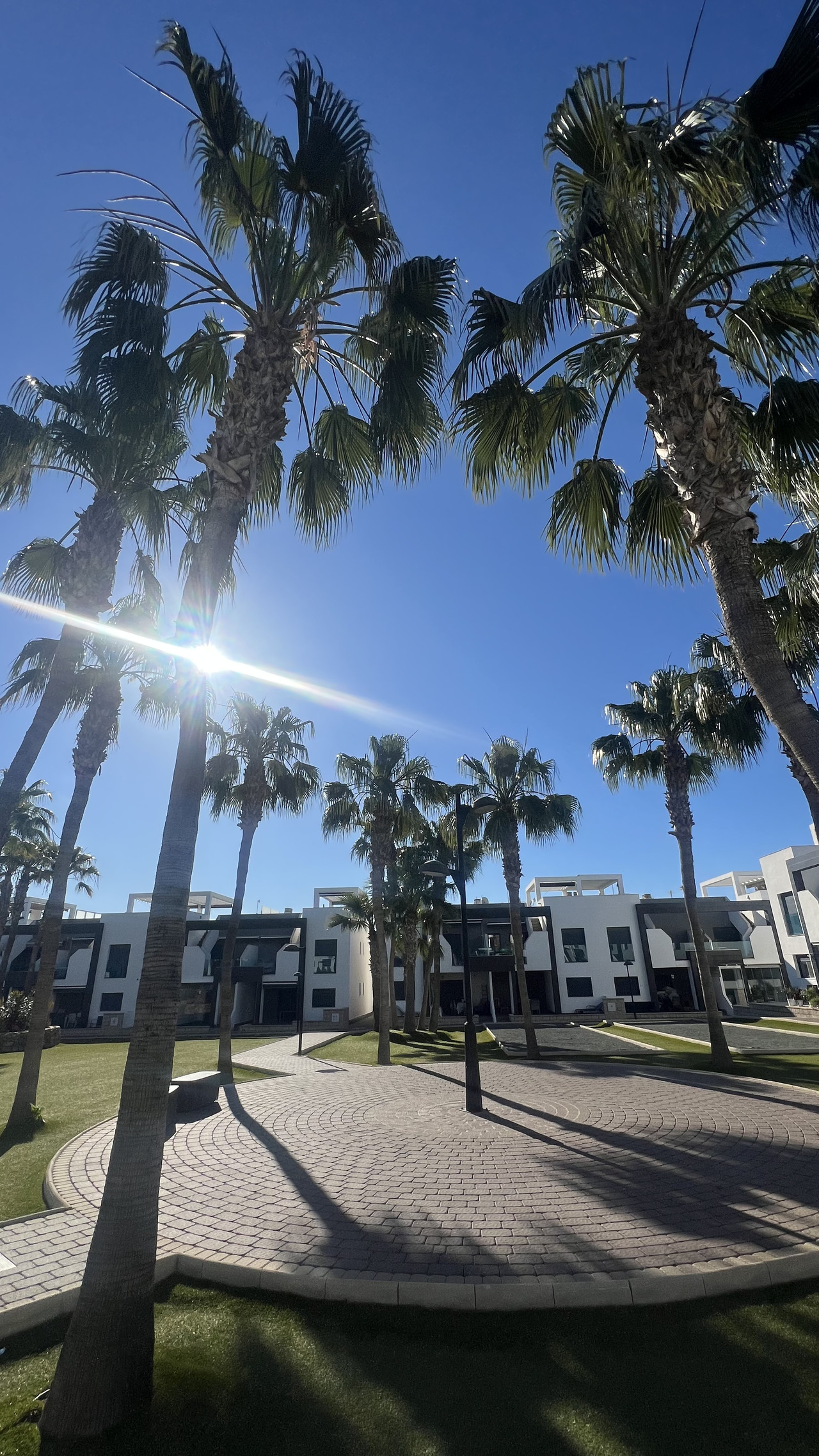 IMG_9964_xlarge Apartment in La Zenia, Alicante