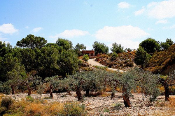 finca-gea-y-truyols-kgdm2501-10 Finca in Gea Y Truyols, Murcia