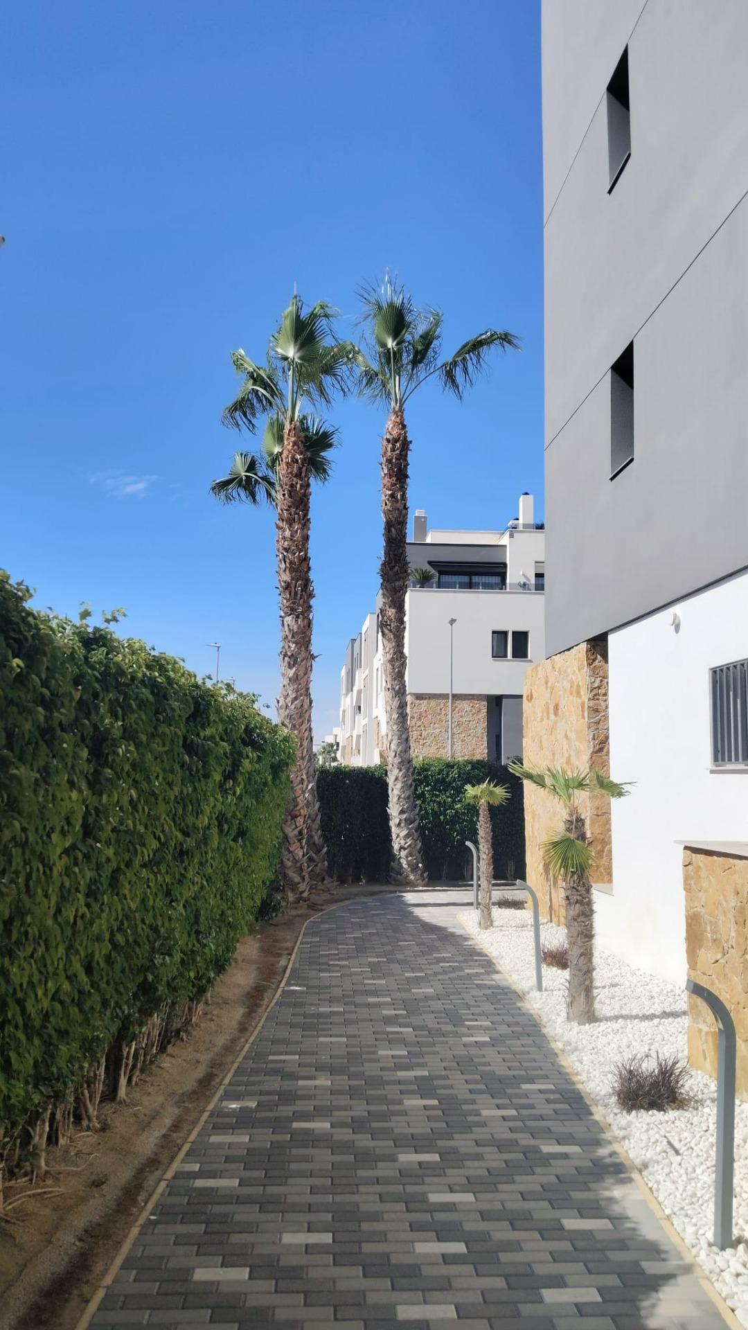 15-22 Apartment in Orihuela Costa, Alicante