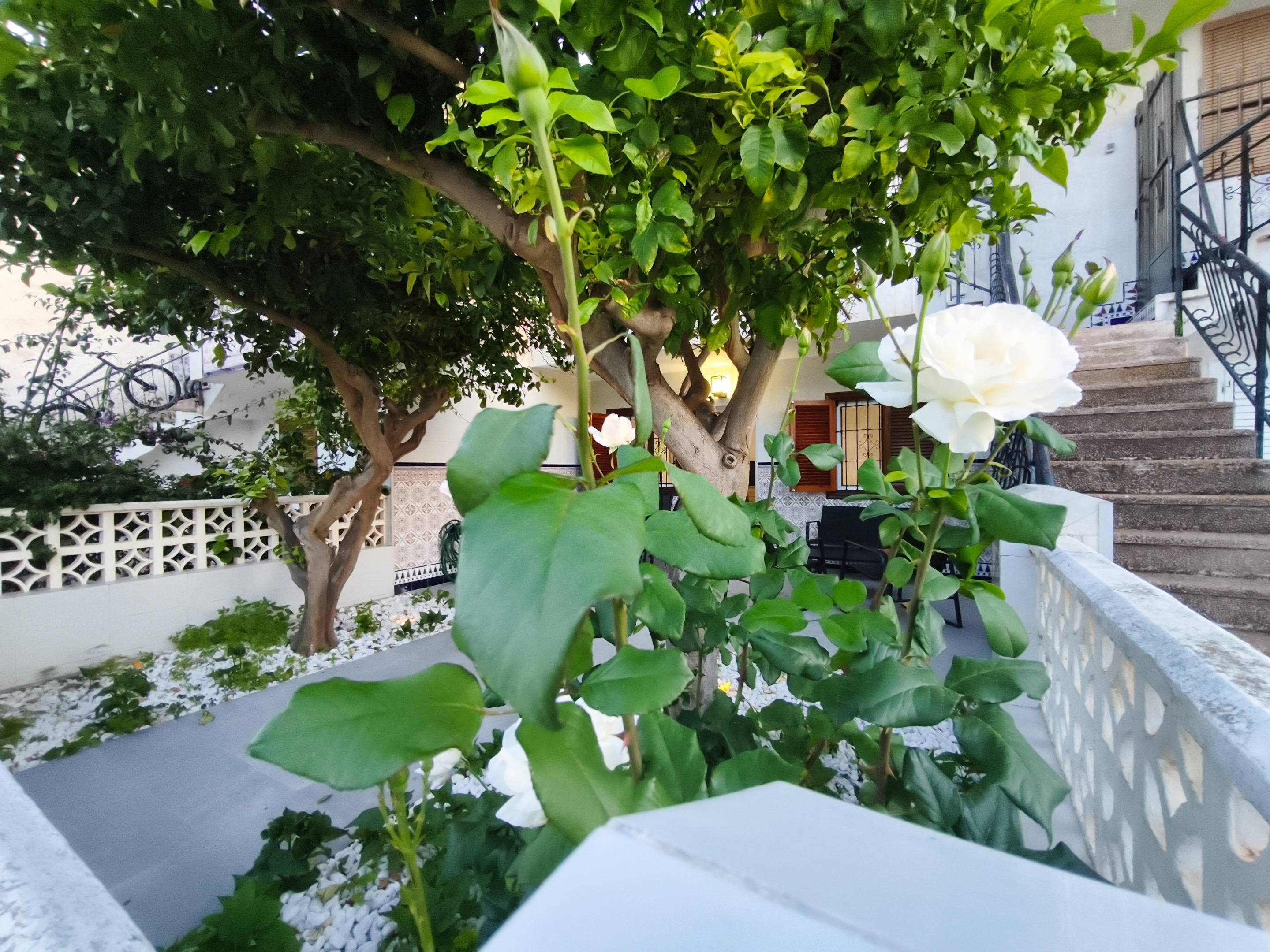 3-35 Bungalow in San Pedro del Pinatar, Murcia