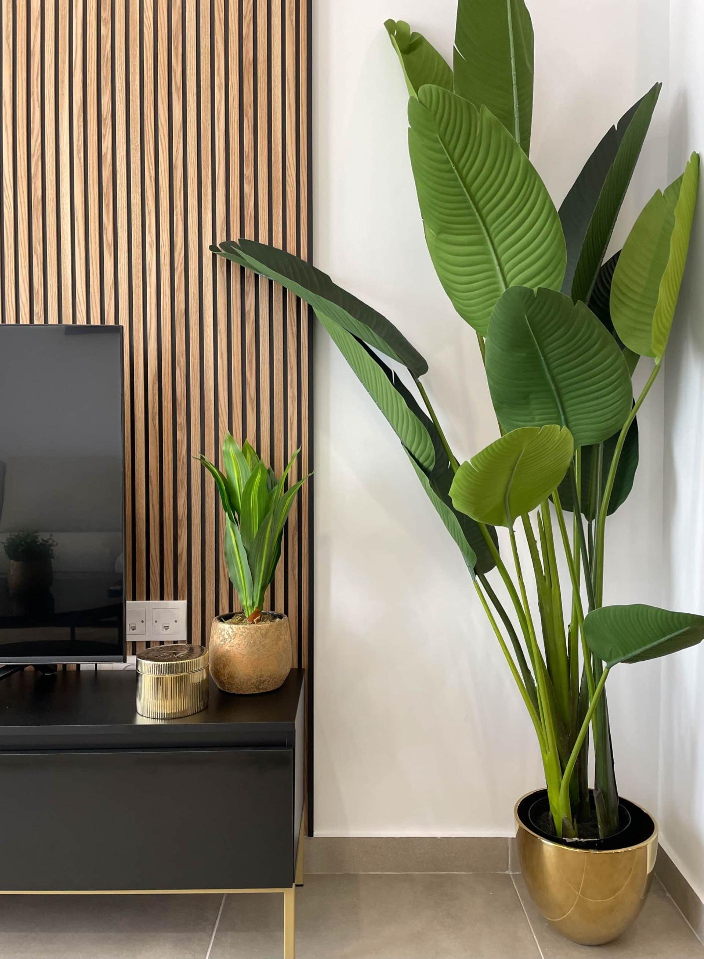 4-8 Apartment in Torre Pacheco, Murcia