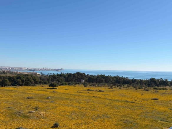 Apartment for sale in Orihuela Costa