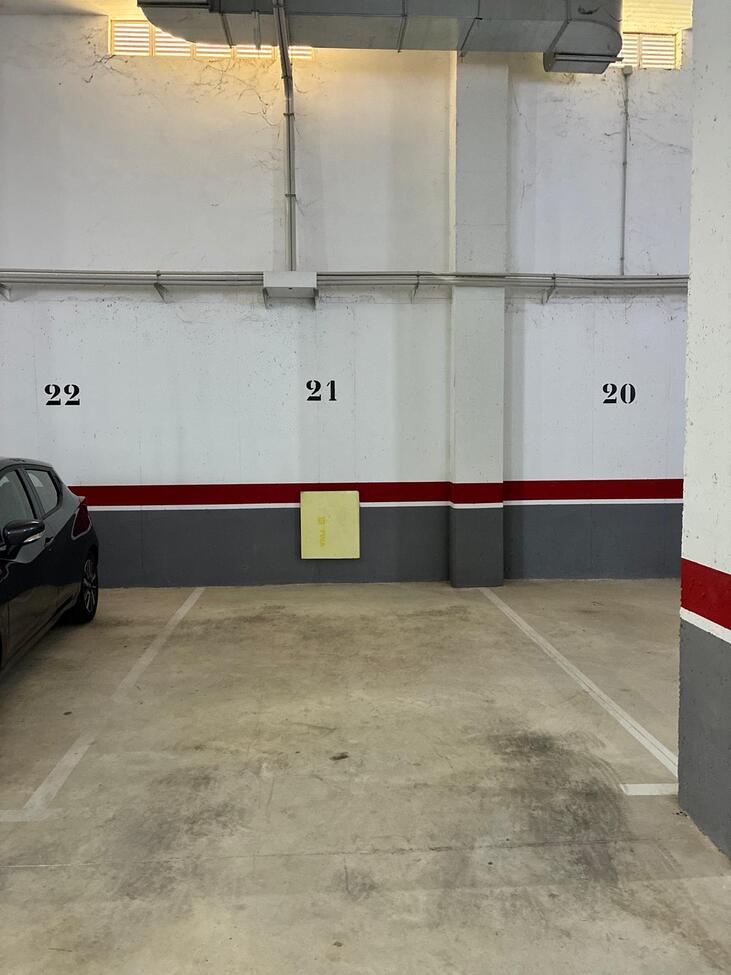 731
