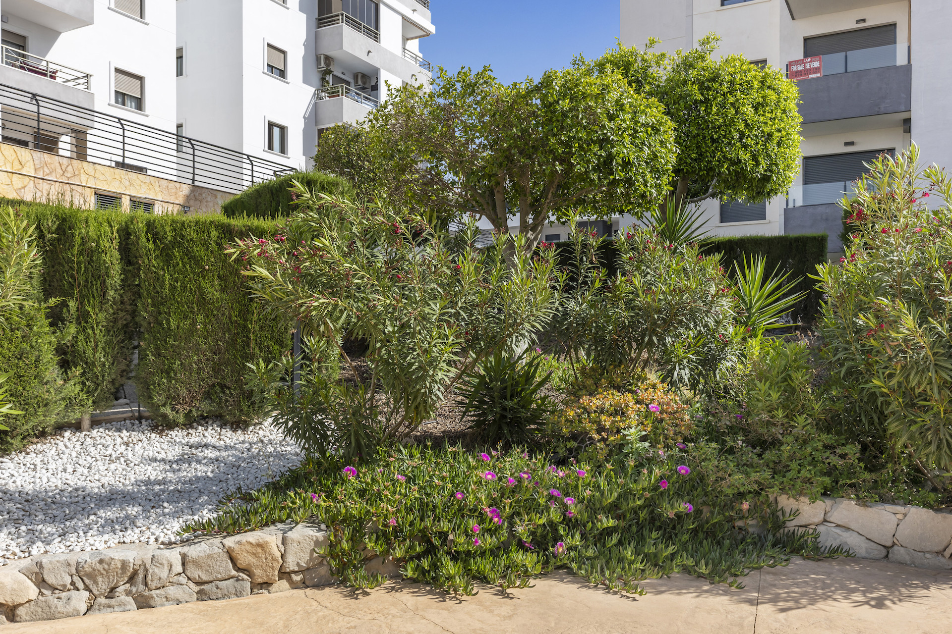 ourl= Apartment in San Miguel de Salinas, Alicante