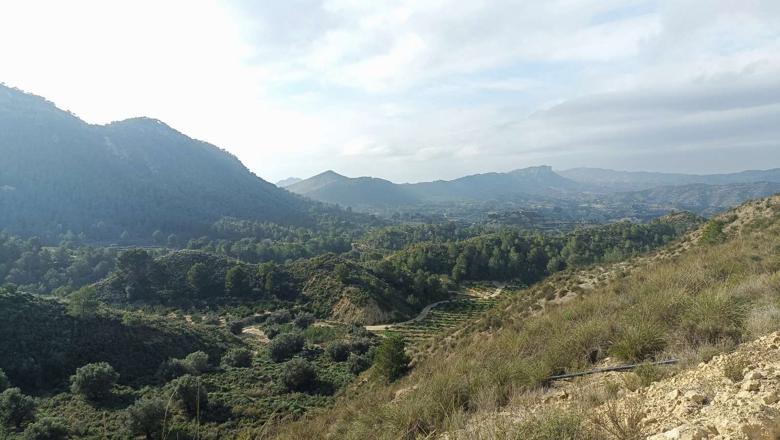 12466_peace_and_tranquillity_for_sale_111225165412_28 Finca in Gea Y Truyols, Murcia