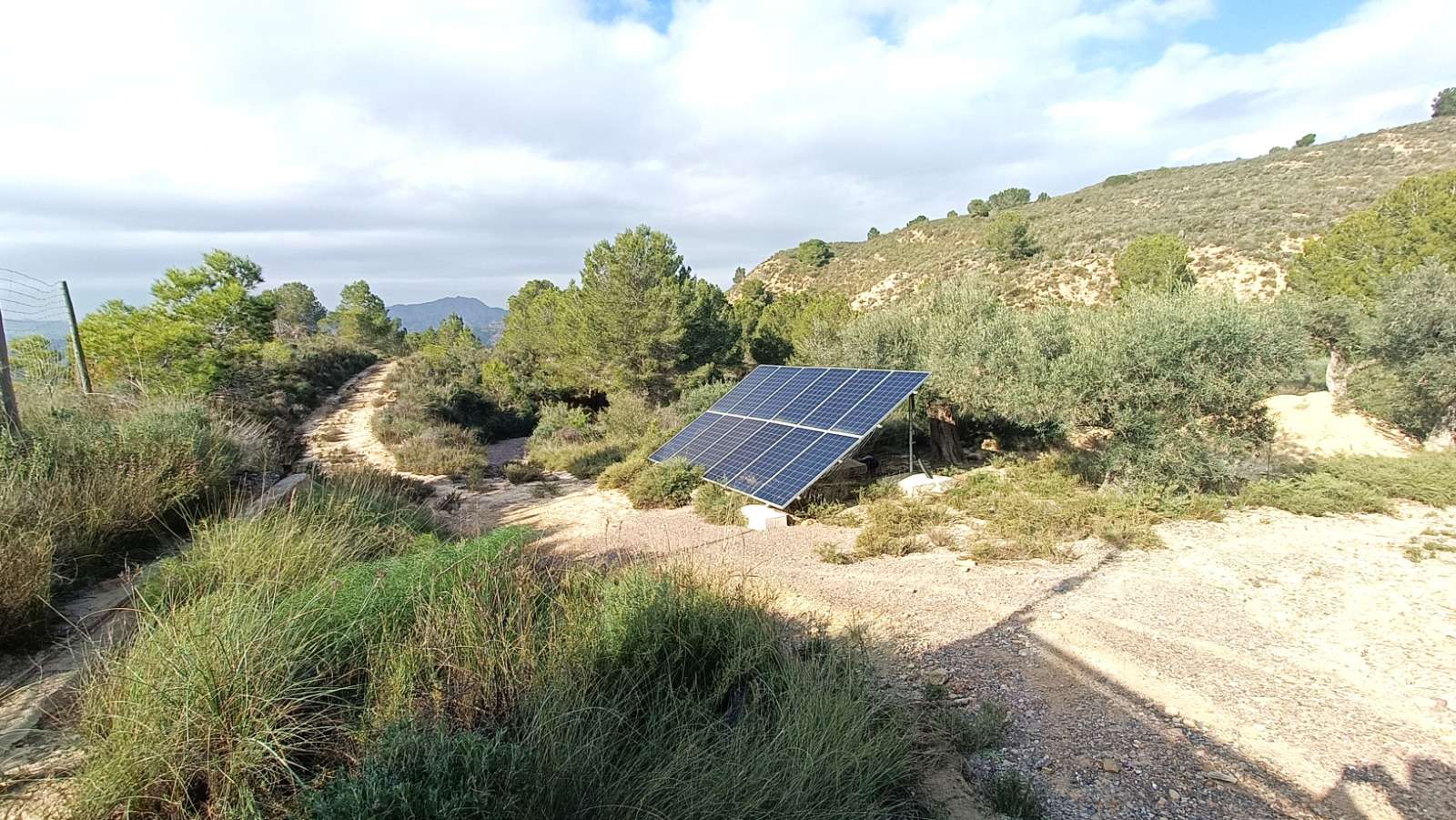 12466_peace_and_tranquillity_for_sale_111225165412_29 Finca in Gea Y Truyols, Murcia