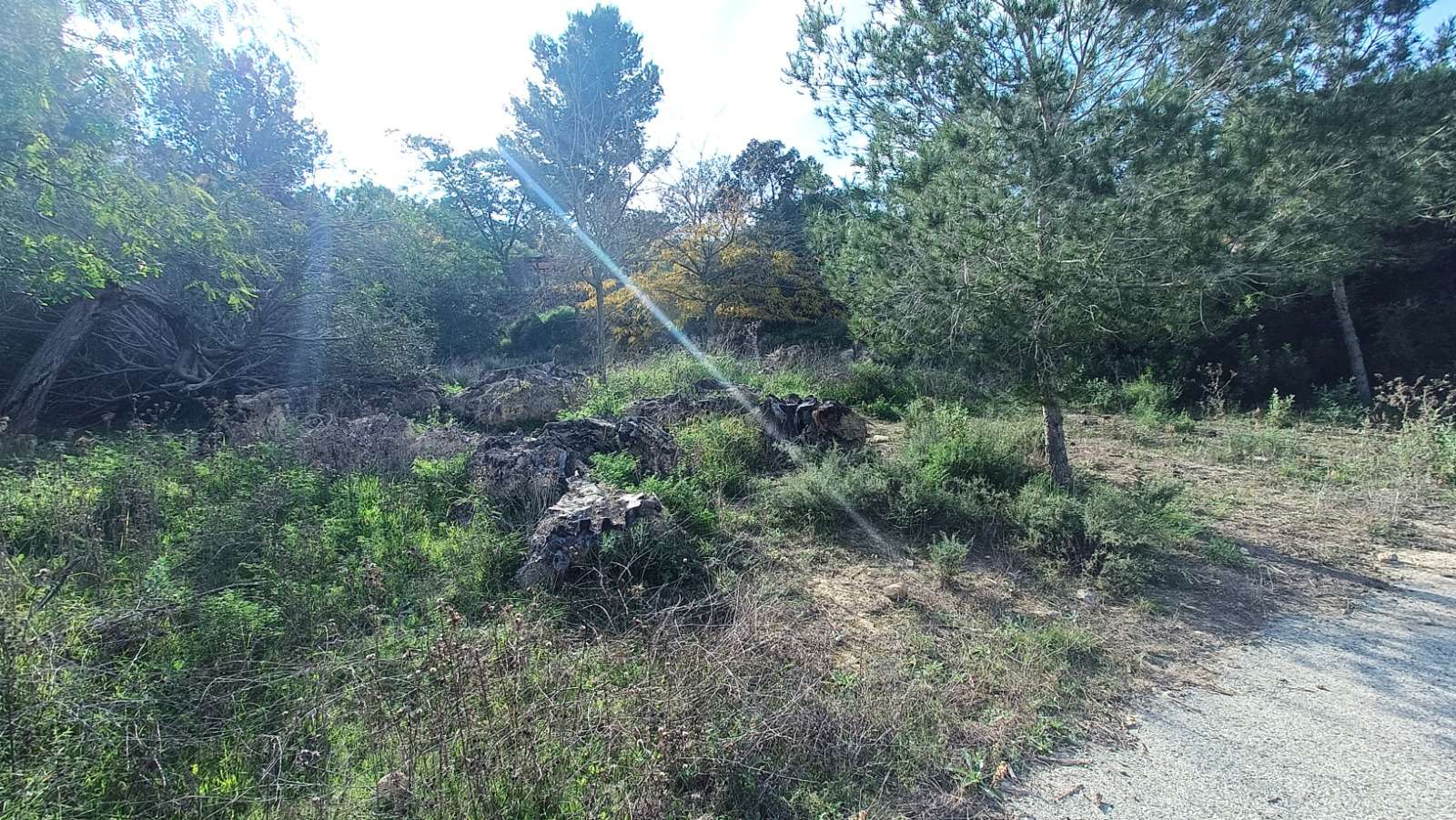 12466_peace_and_tranquillity_for_sale_111225165412_30 Finca in Gea Y Truyols, Murcia