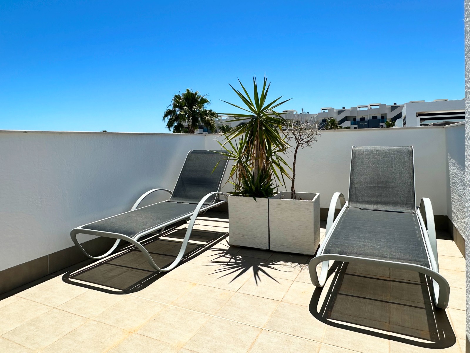 o_1jq989il0bnjgqs1u2r1cdjgsv9q Apartment in Guardamar del Segura, Alicante