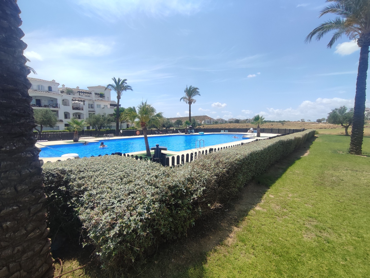31386-apartment-for-sale-in-hacienda-riquelme-golf-resort-26805897-large Apartment in Hacienda Riquelme Golf Resort, Murcia