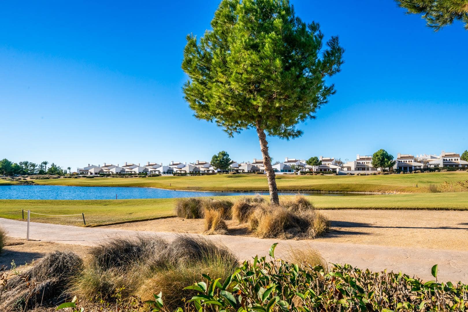 3nHkT_YrO02zw4uGKZnzVg Murcia – Sunrise Dream Properties
