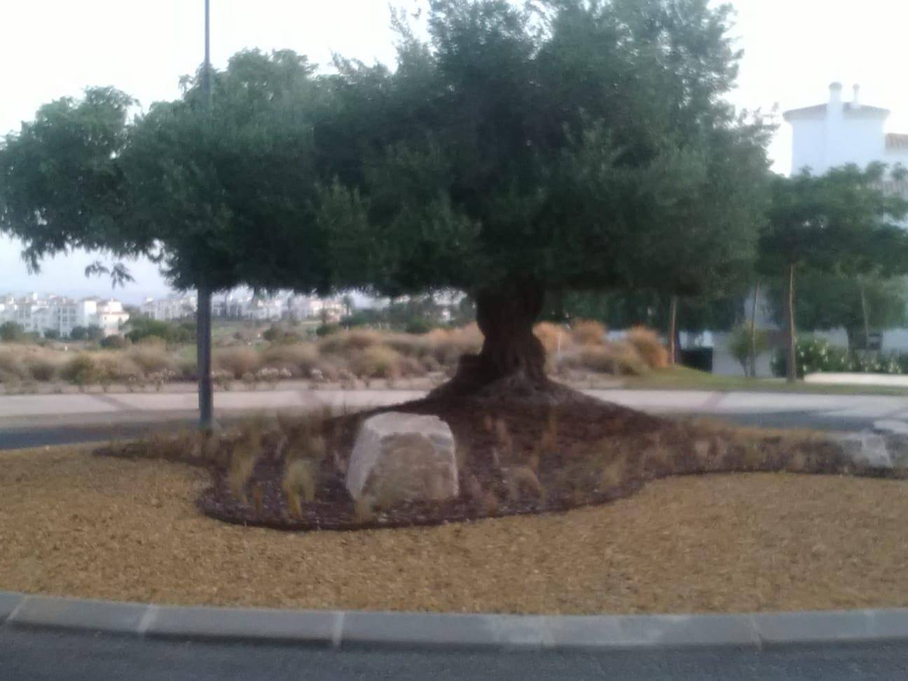 1296