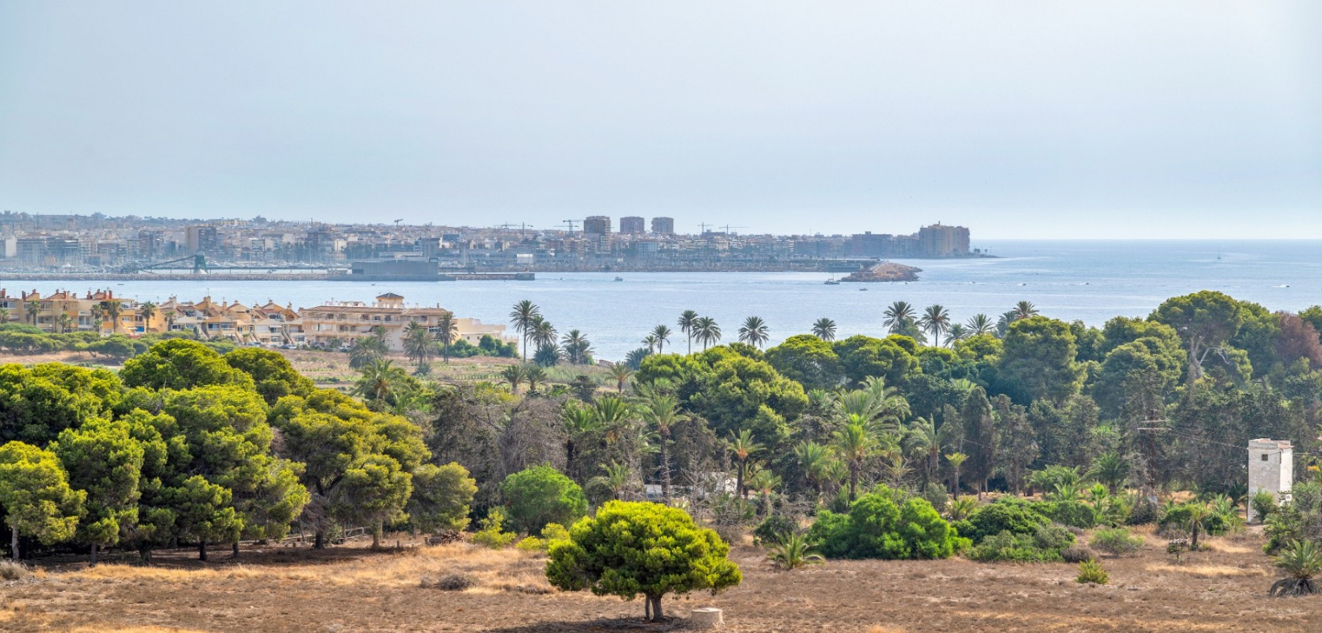 768419_xl Apartment in Orihuela Costa, Alicante