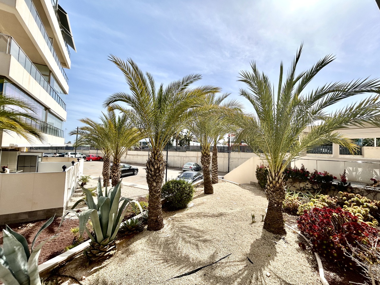 IMG_3481_xlarge Penthouse in Los Dolses, Alicante