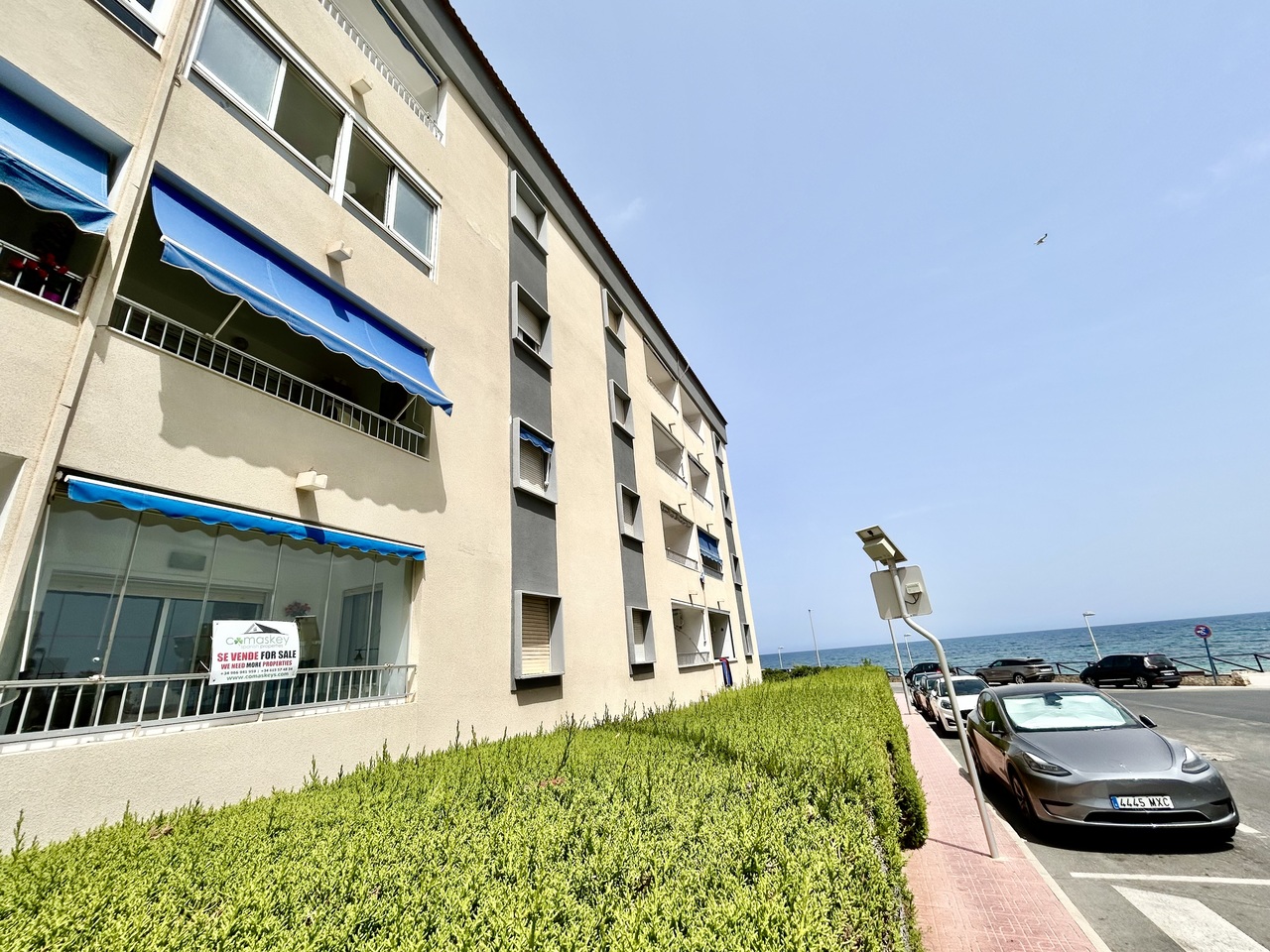 IMG_9103_xlarge Apartment in Punta Prima, Alicante