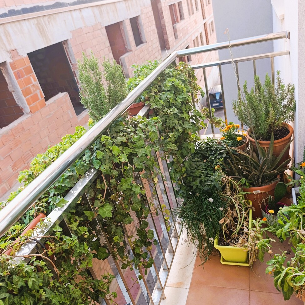 apartment-la-union-mfp-01-1 Murcia – Sunrise Dream Properties
