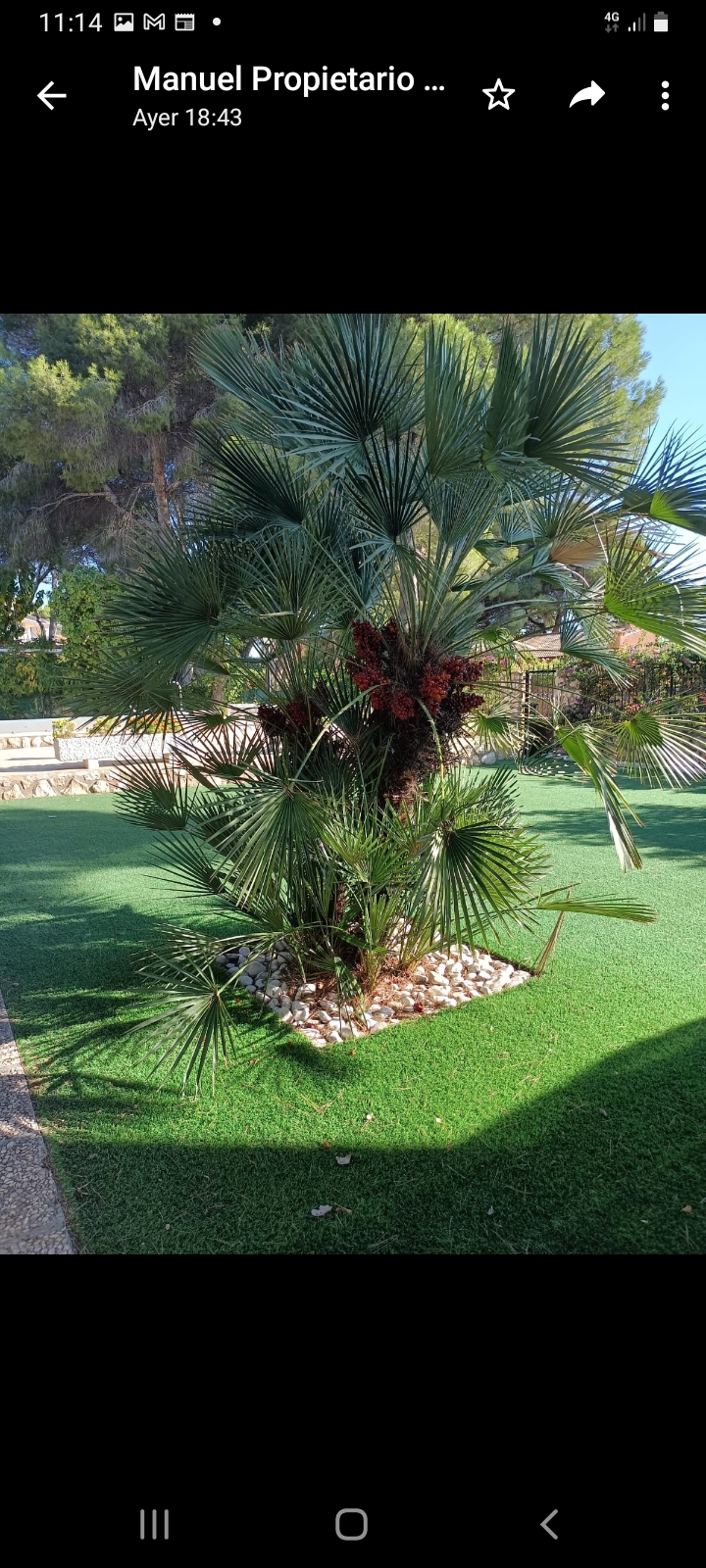 10bbcd08-screenshot-20211016-111431-whatsapp Villa in Campoamor, Alicante