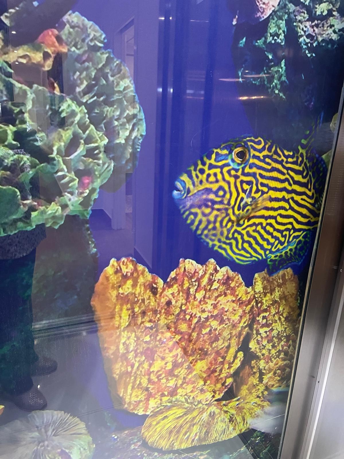 1200