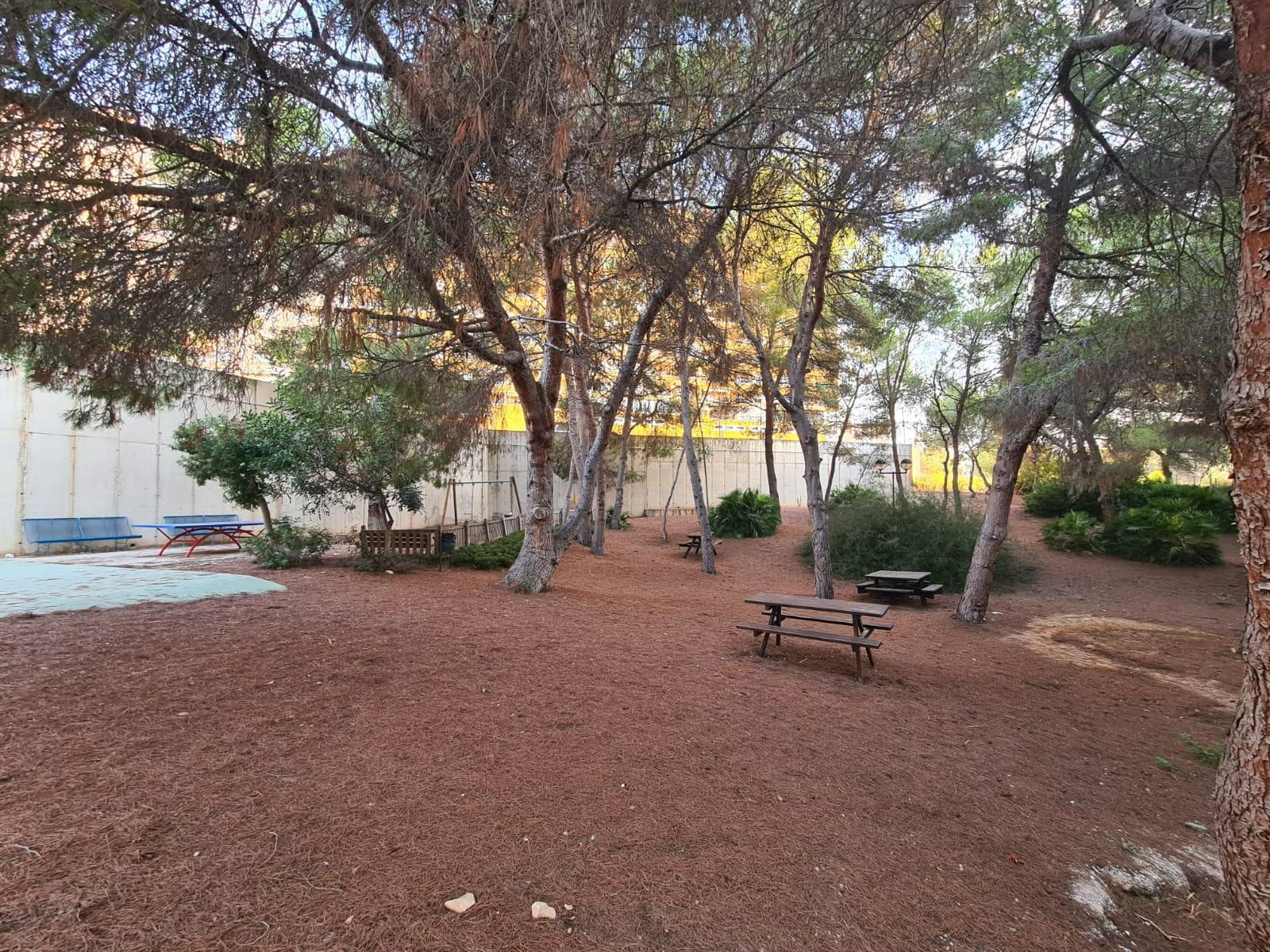 4-36 Apartment in Orihuela Costa, Alicante