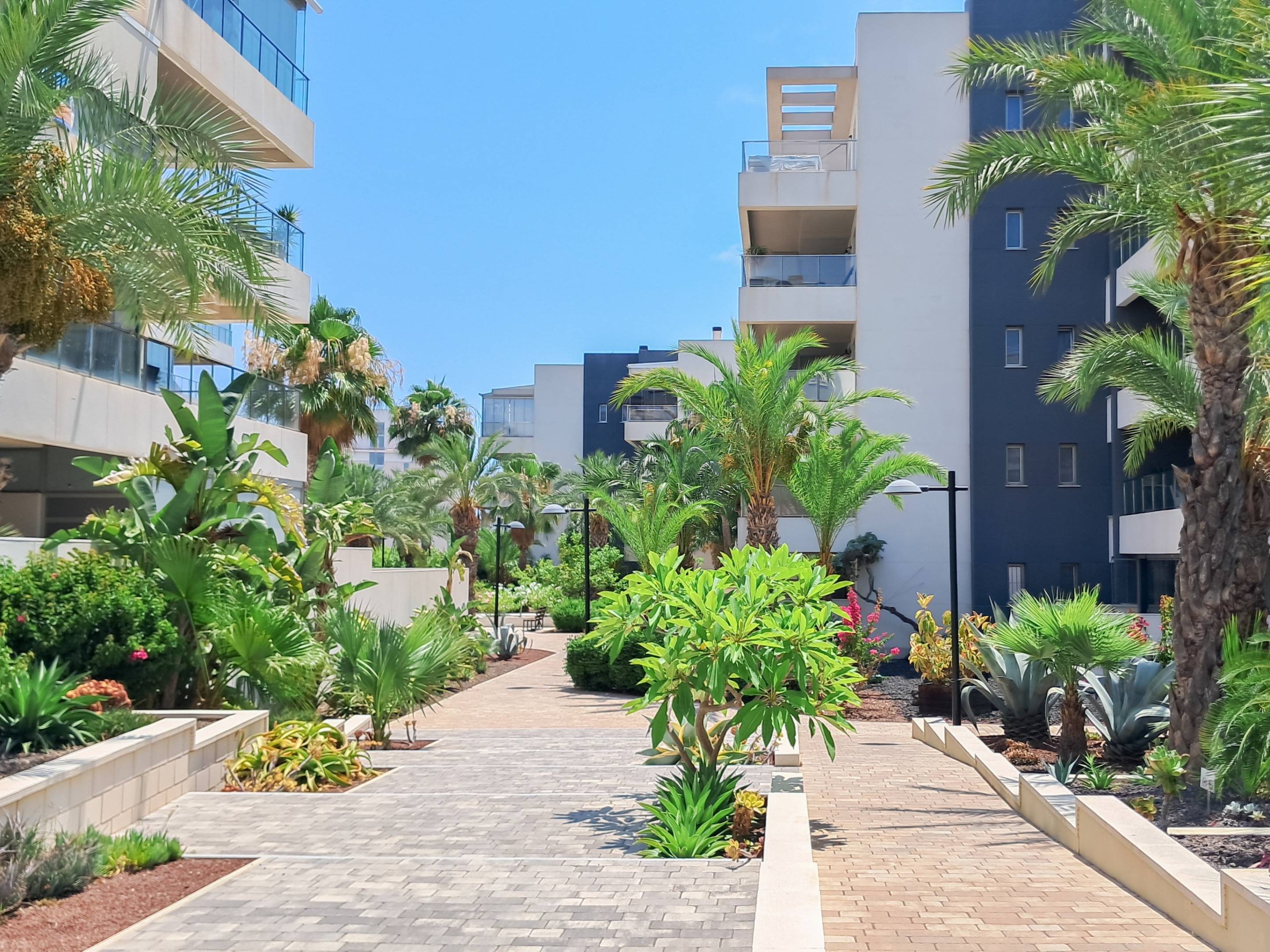 6-16 Apartment in Orihuela Costa, Alicante