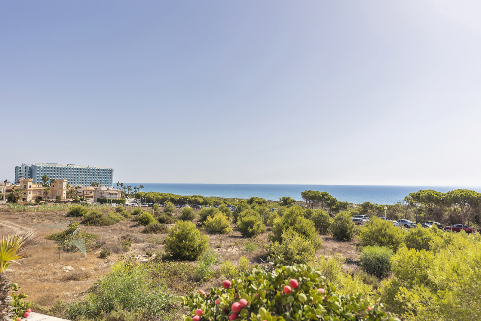 6a89601f2f773_012024062134 Apartment in Guardamar del Segura, Alicante