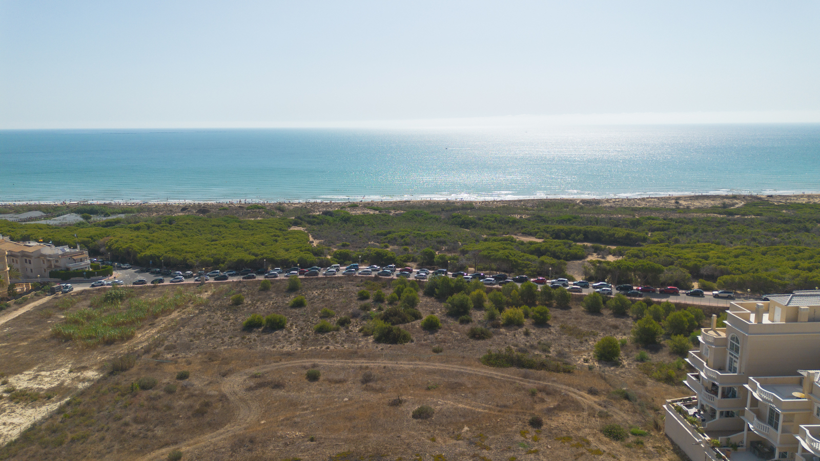 6a89601f63c3a_012026081902 Apartment in Guardamar del Segura, Alicante