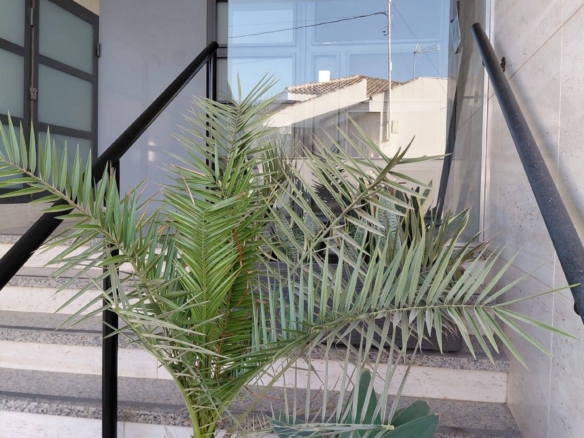 Apartment for sale in San Pedro del Pinatar