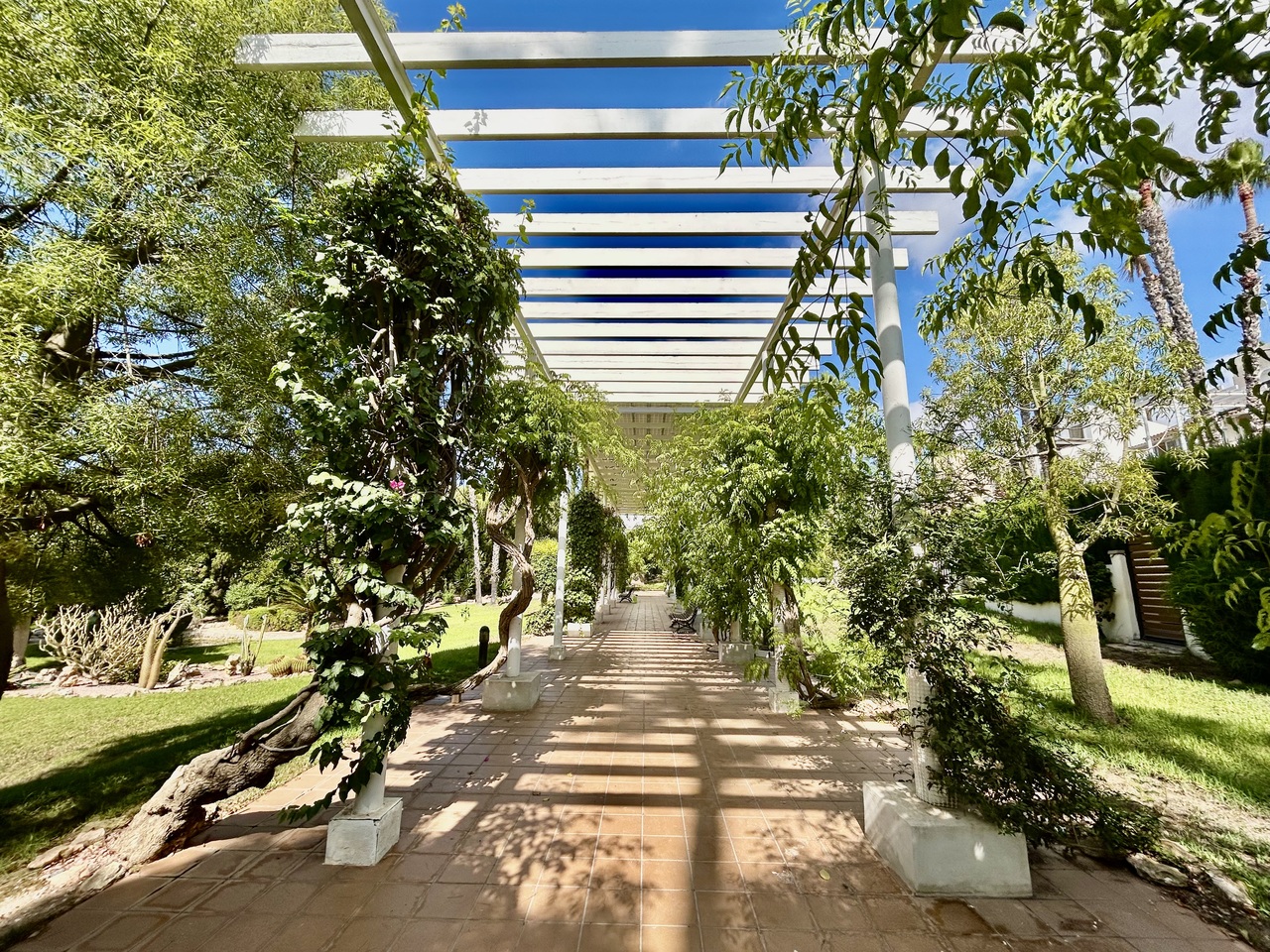 IMG_9922_xlarge Villa in Villamartin, Alicante