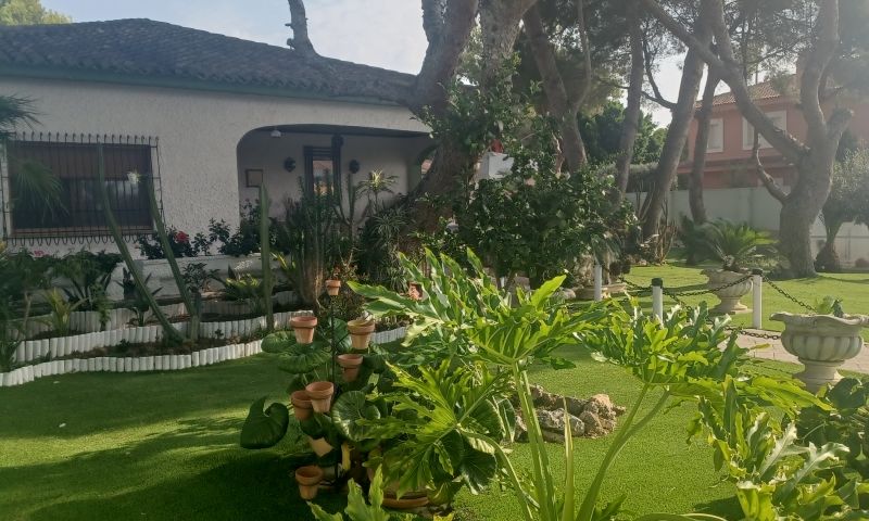 fab1a2b4-20230912-103859 Villa in Orihuela Costa, Alicante