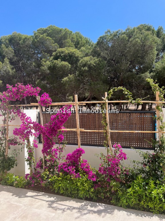 full_1537738_66968036 Apartment in Santiago de la Ribera, Murcia